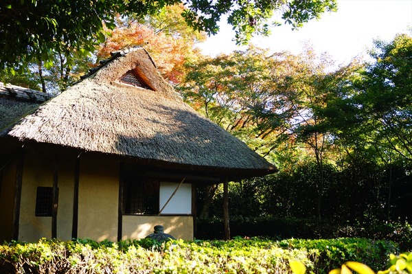 金福寺018