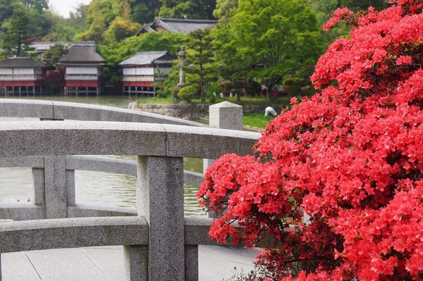 長岡京散策002