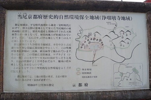 浄瑠璃寺008