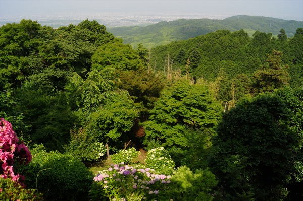 善峯寺019