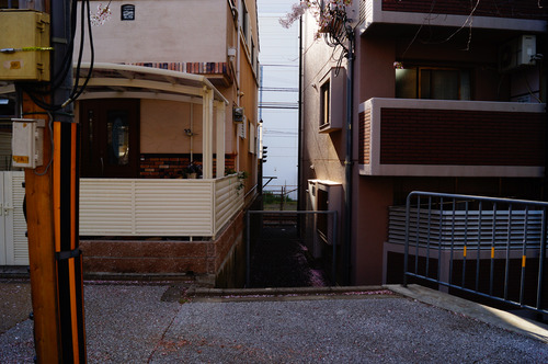 tamakoma_b013