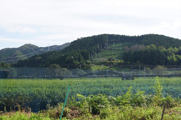 和束町003