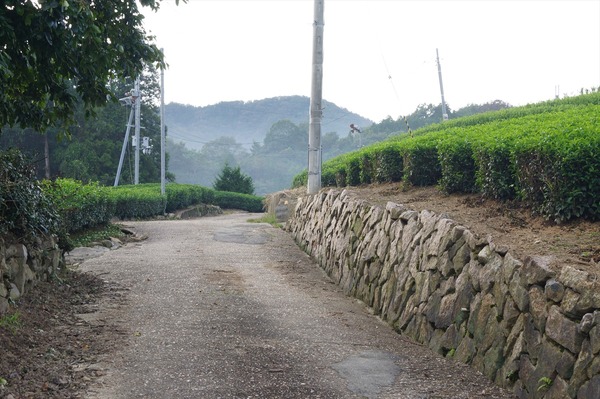 和束町037