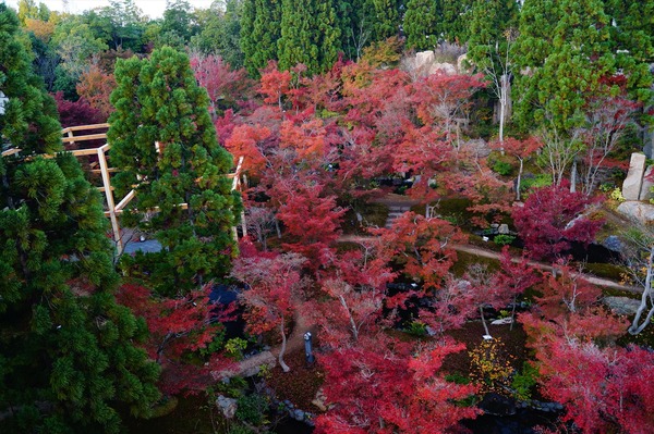 けいはんな記念公園011