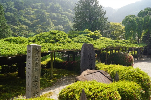 善峯寺015