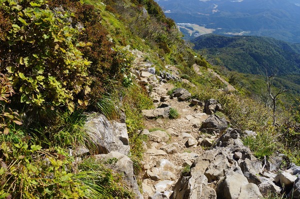 伊吹山100