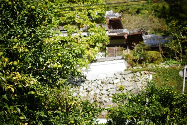 水尾018