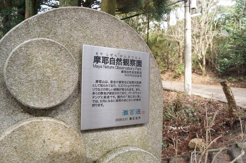 摩耶山044