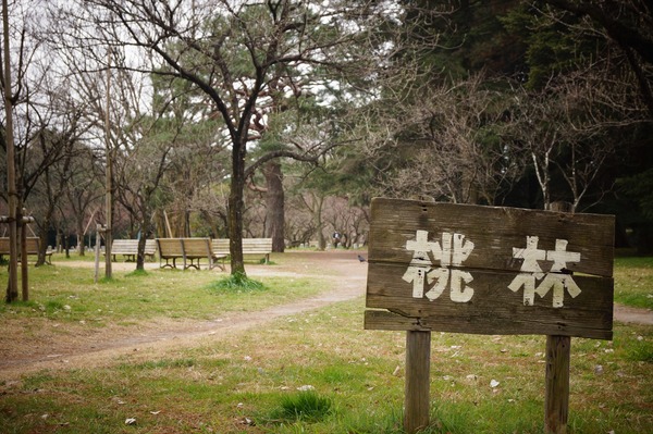下鴨神社流し雛024