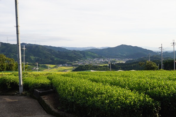 和束町030