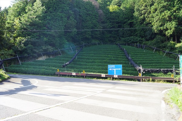 和束町008