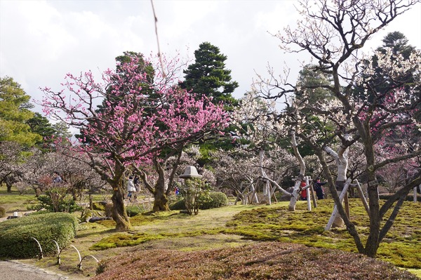 金沢風景042