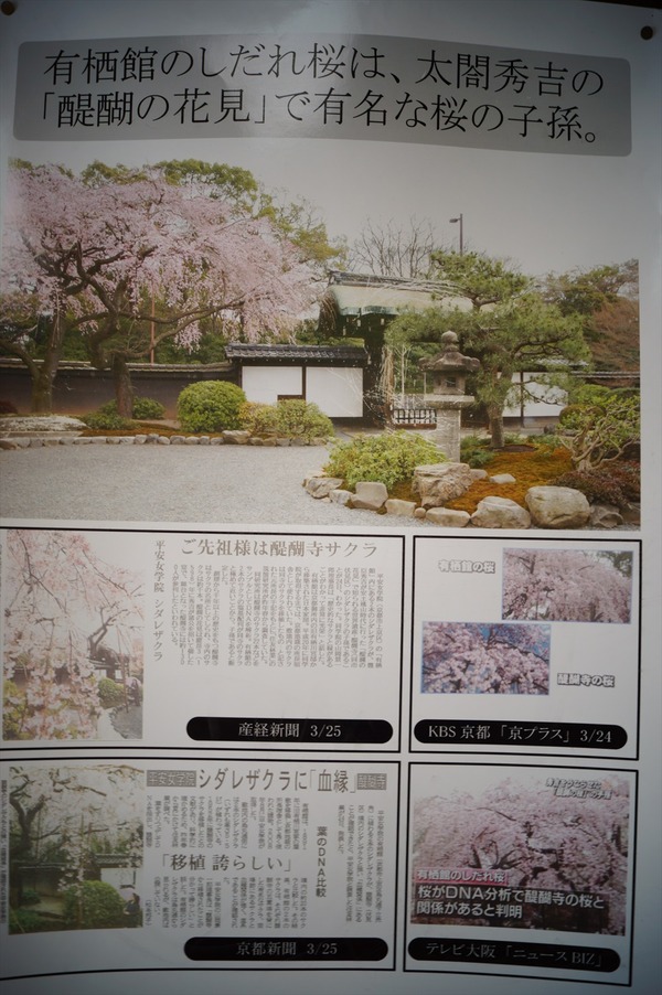 有栖館027