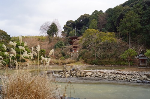 浄瑠璃寺020