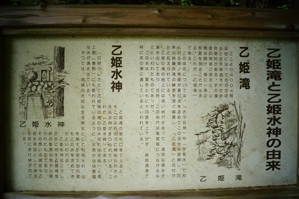 郡上八幡155