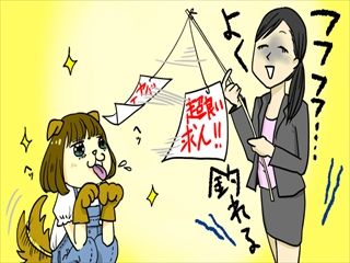 フェアリー_s