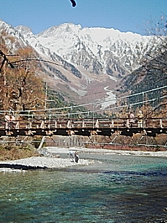 2f955166.jpg