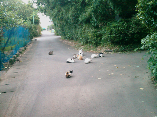 IMAG0024a