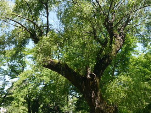 P1160654