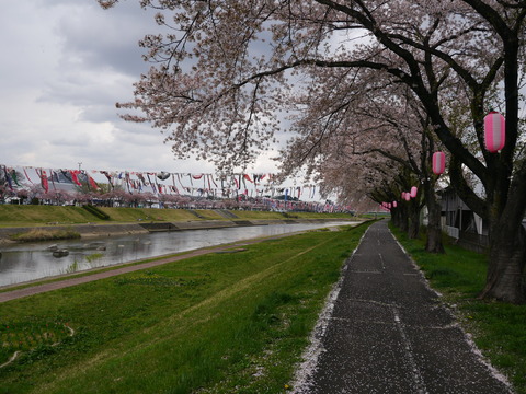 P1160294