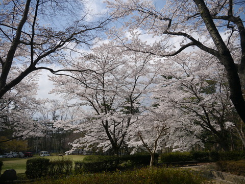 P1190460