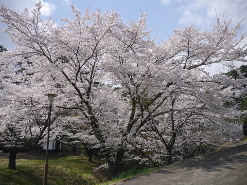 P1190459