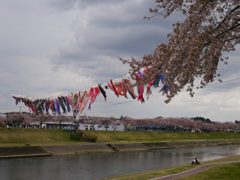 P1160295