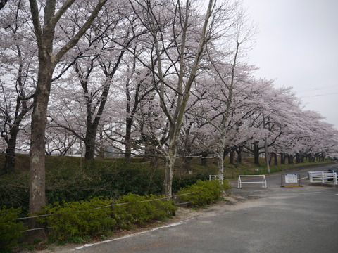 P1190429