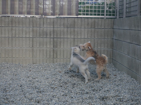P1140100