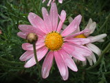 d8d105a4.JPG