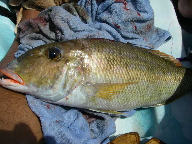 IMGP6556