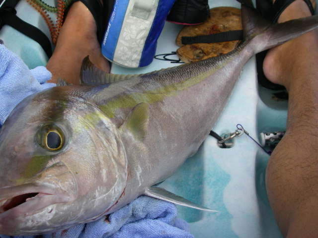 IMGP6544