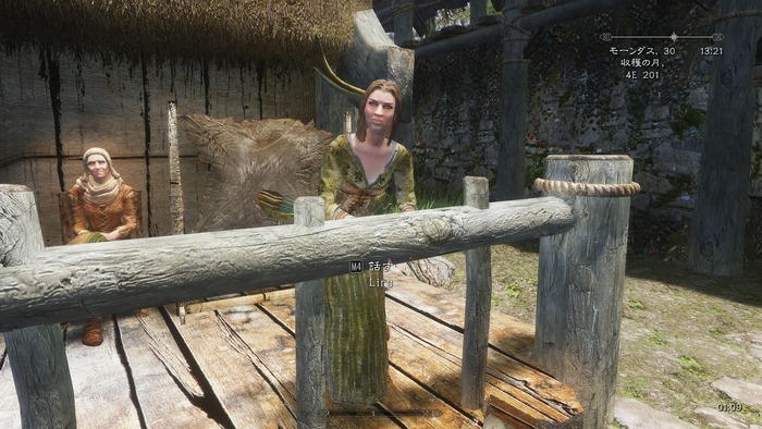 SkyrimScreenShot3475