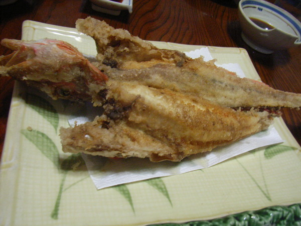 RIMG1131
