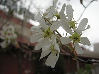 IMG_5996