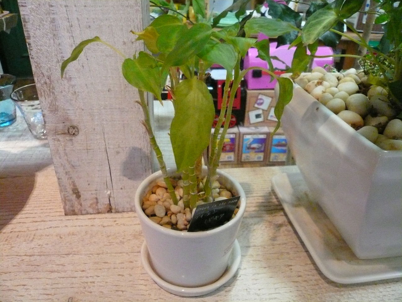 P1050028