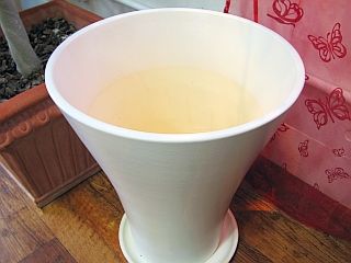 IMG_5816