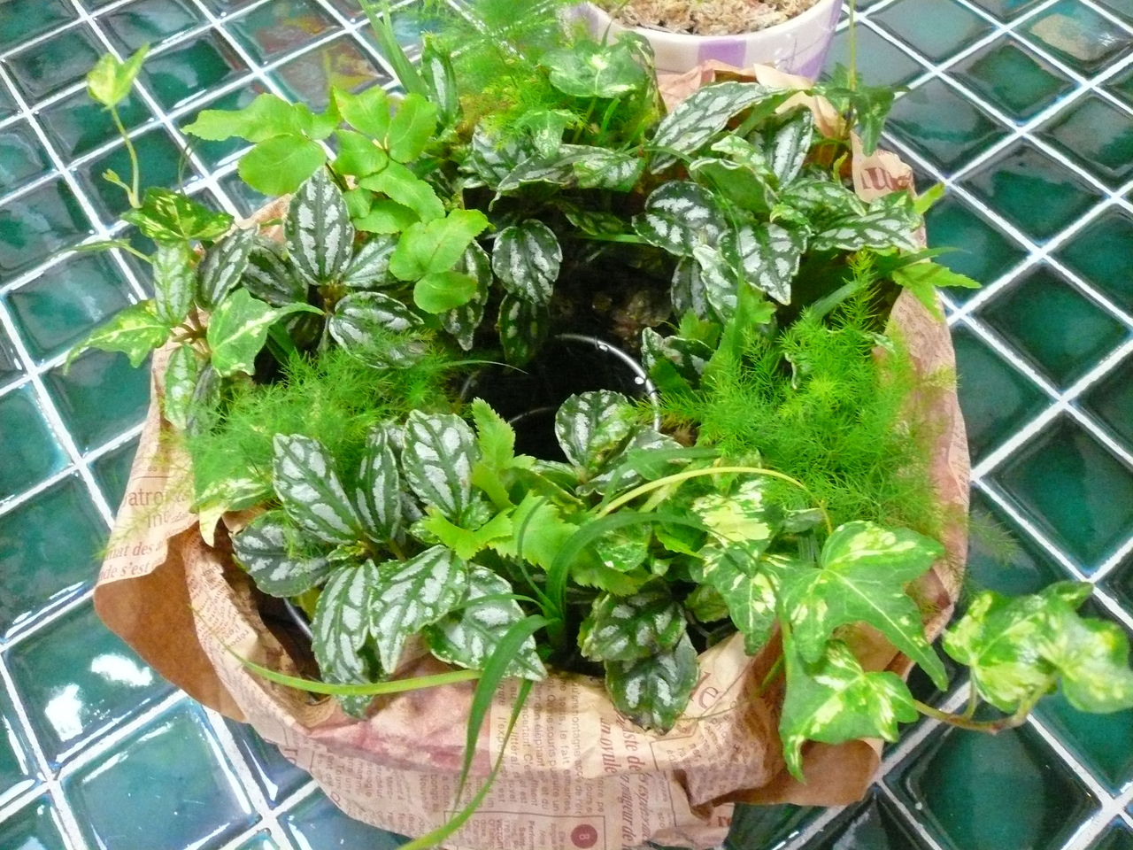 P1050026