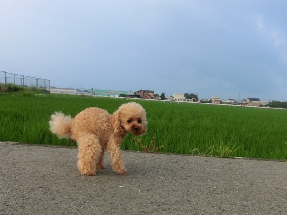 17072003