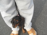 マフィン0711154