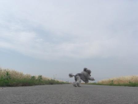 10052106