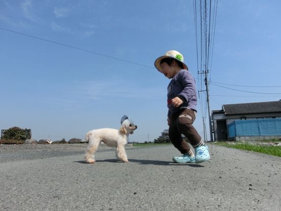 14032403