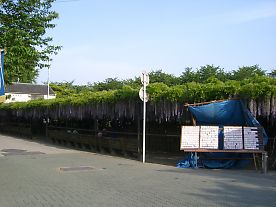 09a24111.jpg