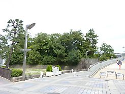 t_P1180502
