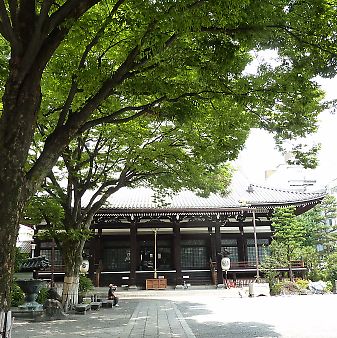 t_P1150413