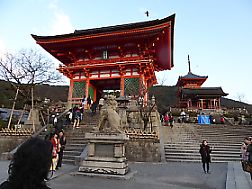 t_P1010209