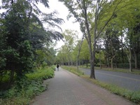 bt_P1050007