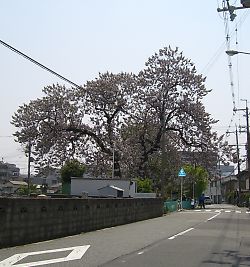 394398c3.jpg