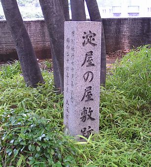 3c528701.jpg