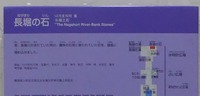 t_P1110146